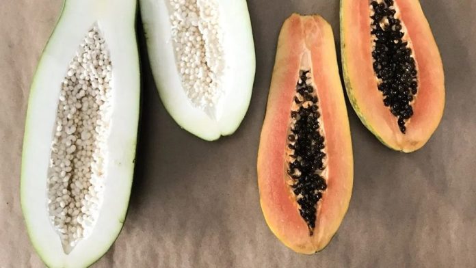 কাঁচা পেঁপে-পাকা পেঁপে কাঁচা পেঁপে-পাকা পেঁপে