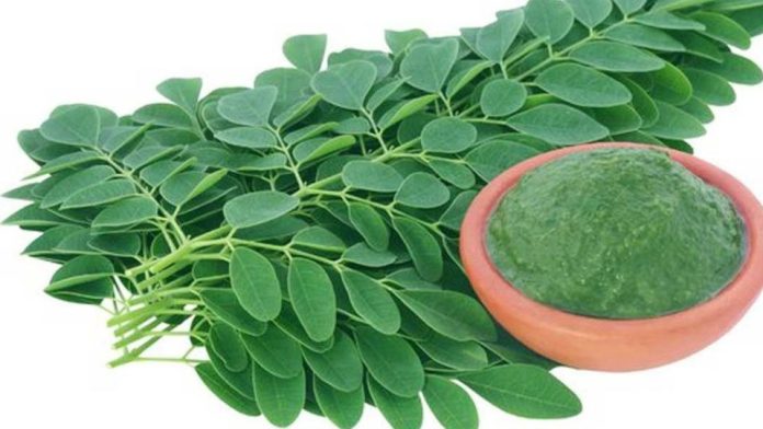 সজনে পাতা