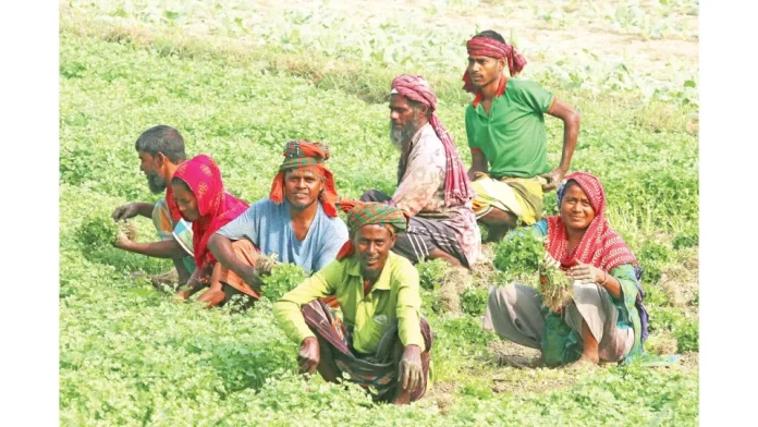 ছবি- সংগৃহীত